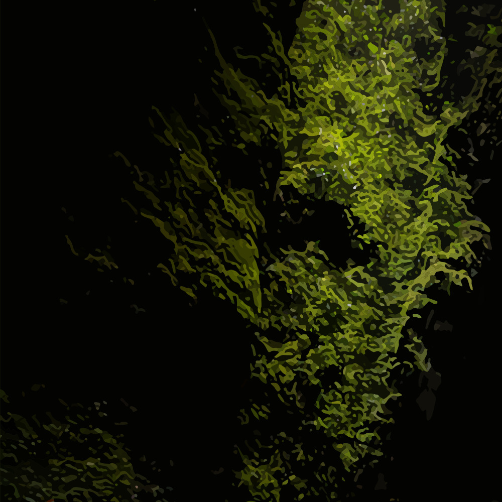 Nakanaï