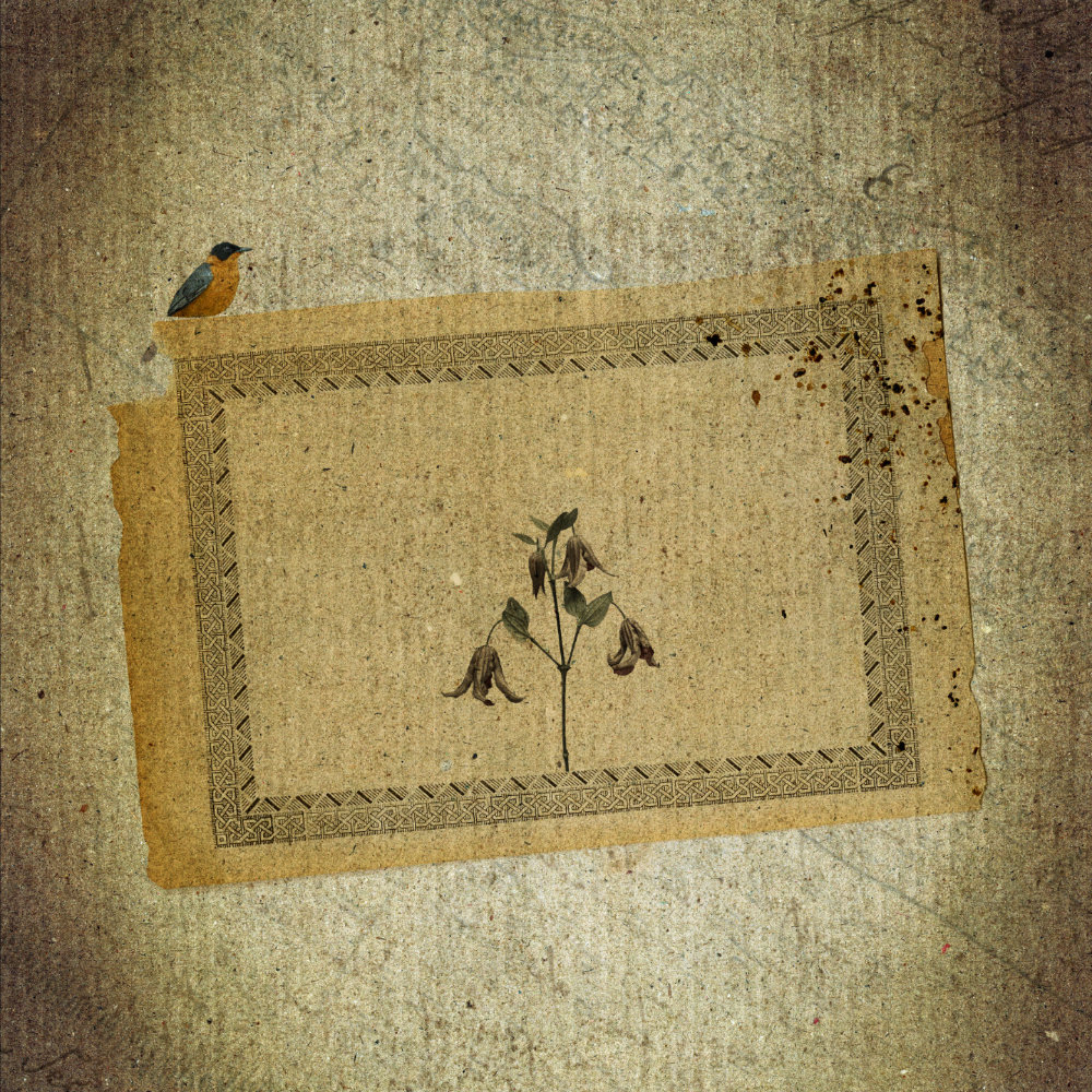 ...Et quand Auguste le bateleur magnanime se délecte d'une bourgeoise insane